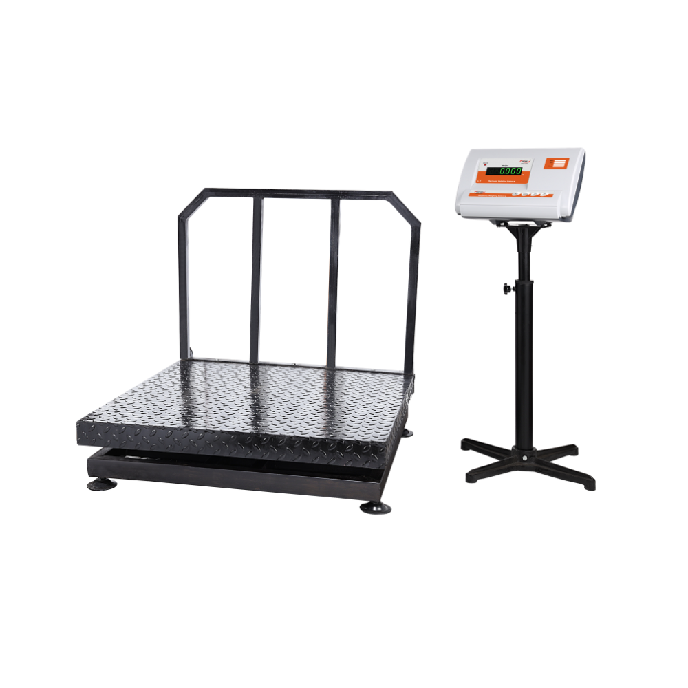 900 x 900 PL MS LP